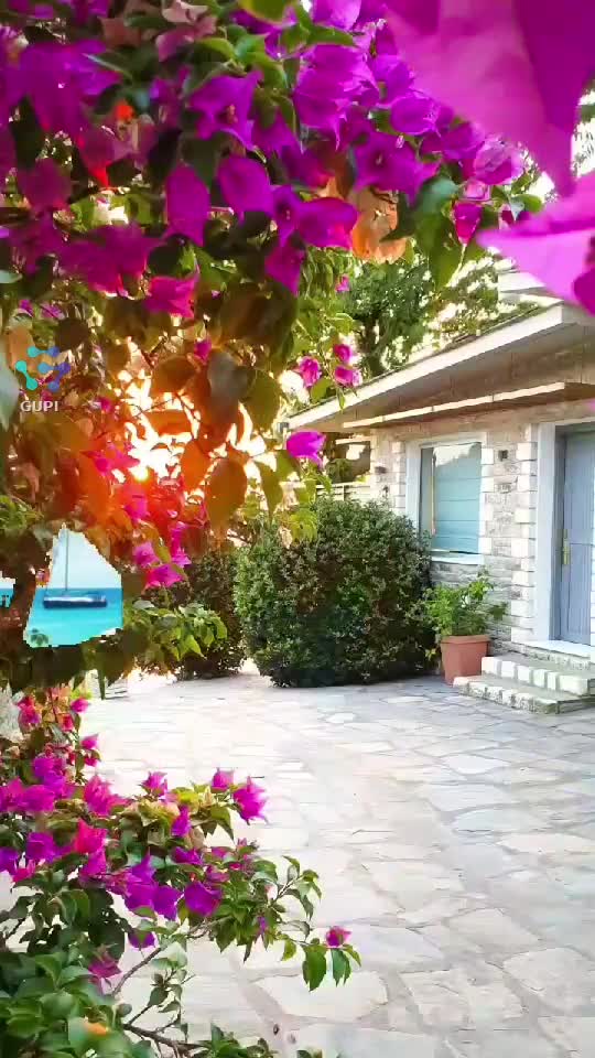 Video de @gupiuser359993