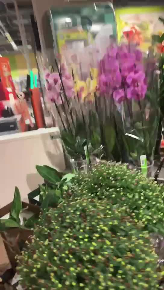 Video de @🇨🇭Vasile1805🇧🇪
