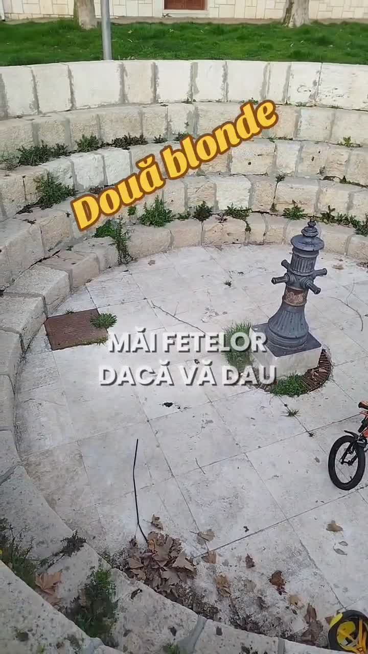 Două blonde