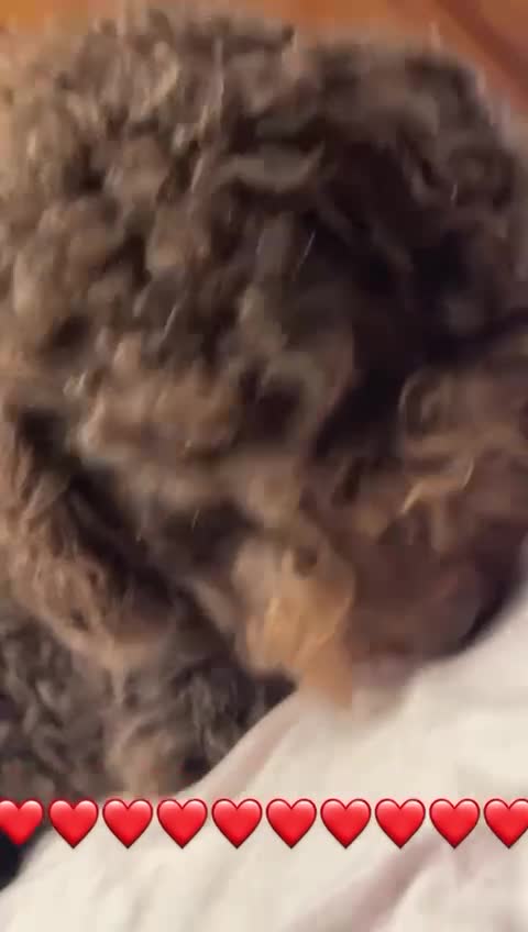Suua🤎❤️🤎😍