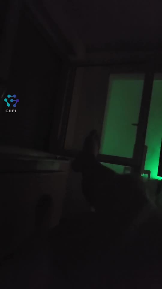 Video de @gupiuser365650