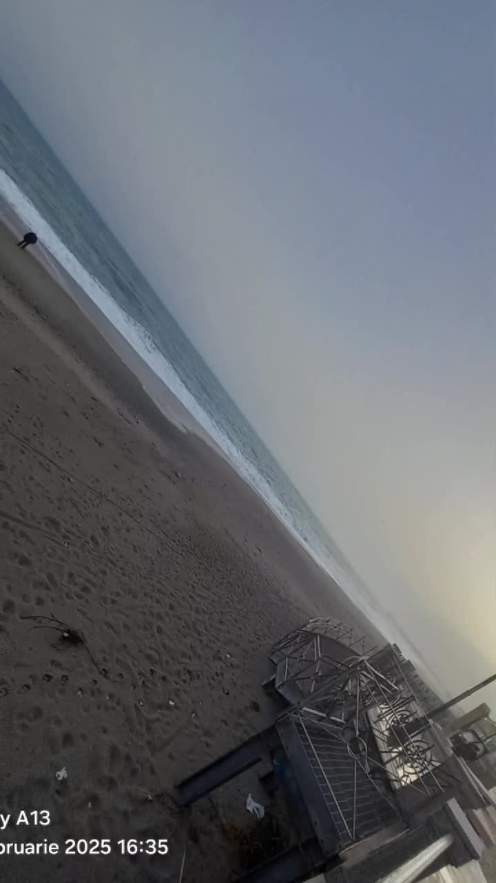 mare