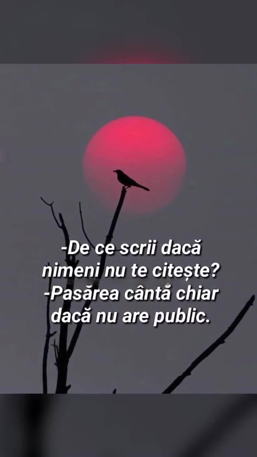 Video de @gupiuser1032616