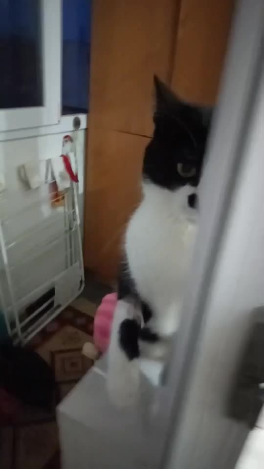 Feli😘
