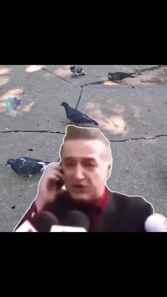 Video de @gupiuser501782