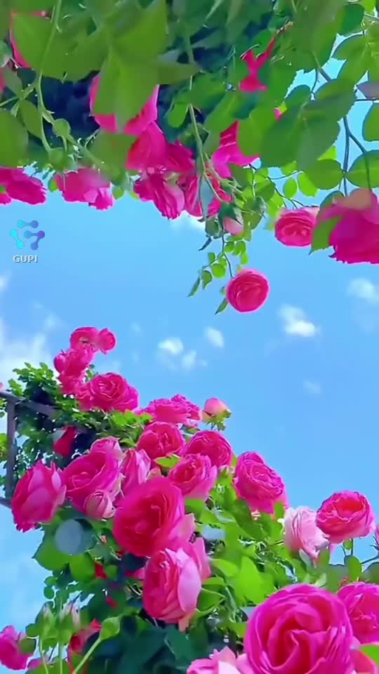 Original Sound - 💫❤️Eryka♥️💫