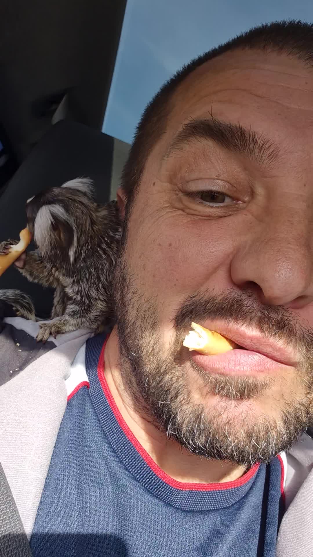 Video de @gupiuser964361