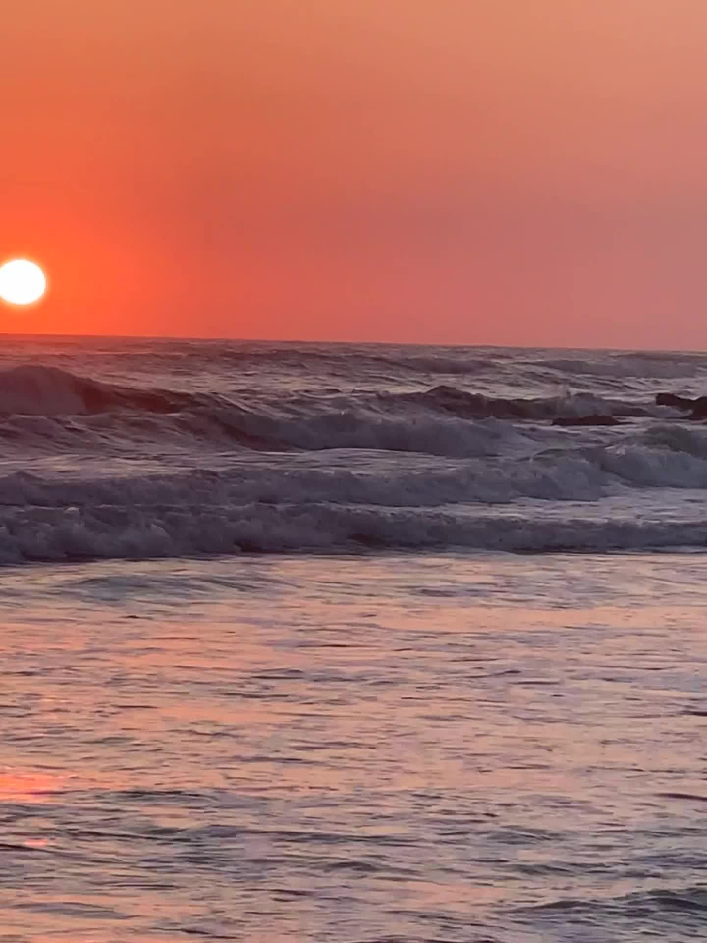 Video de @andylorepara