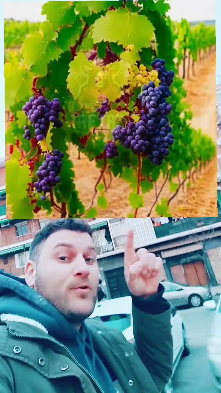 ###########