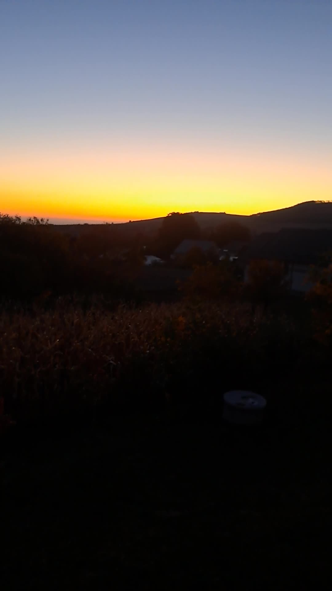 Video de @gupiuser961711