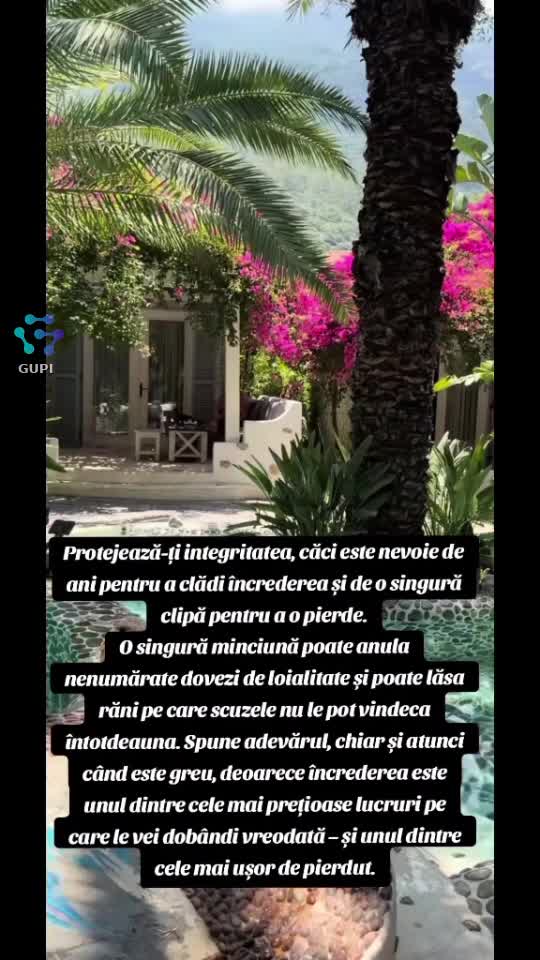 Video de @NelaAlen