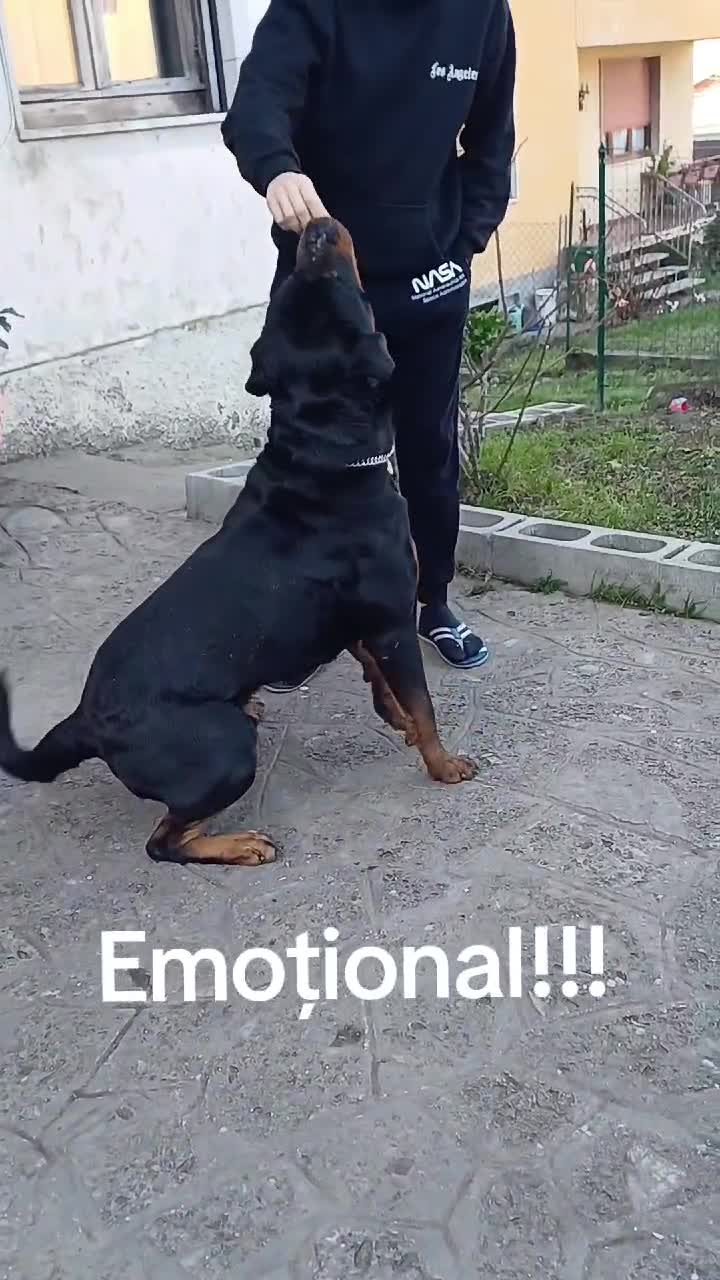 Ricompensa!!! video