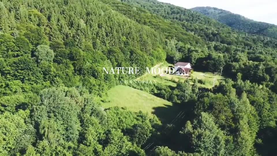 Valea Sebesului, Tara Făgărașului, jud. Brașov
Drone view