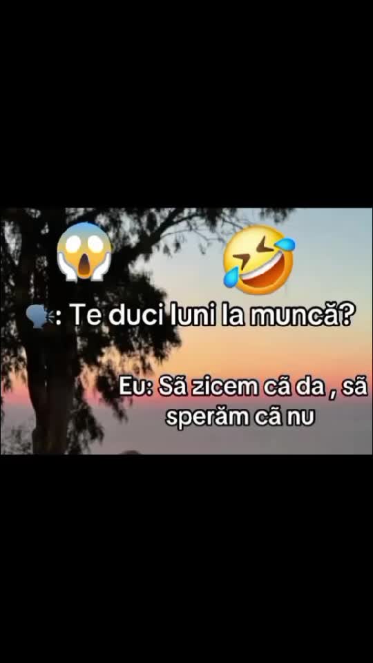 🤣😂🤣🤣🤣