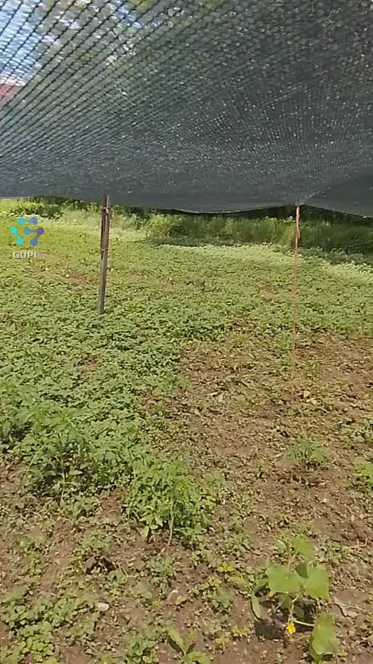 Viața la țară