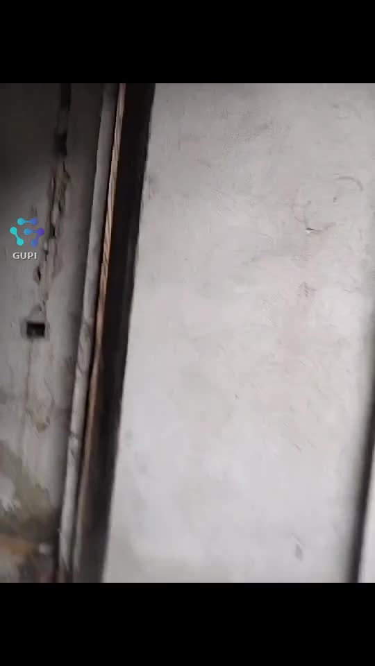 Video de @gupiuser163301