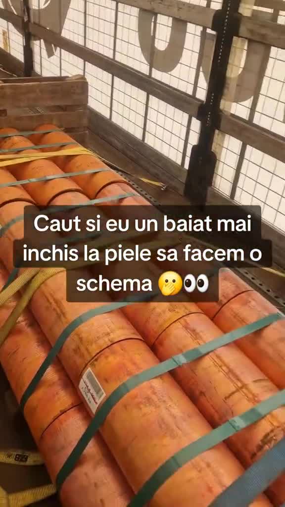 Care te bagi?