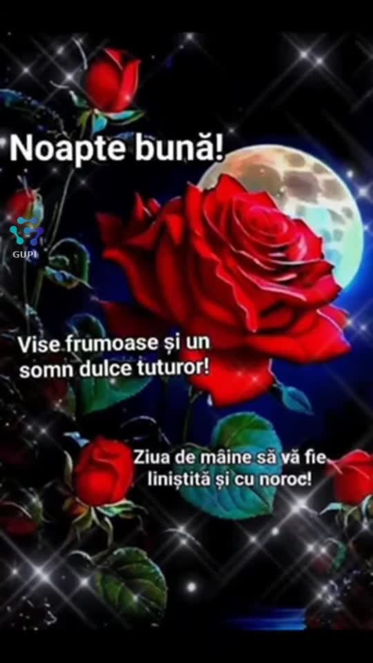 Noapte bună vise plăcute
