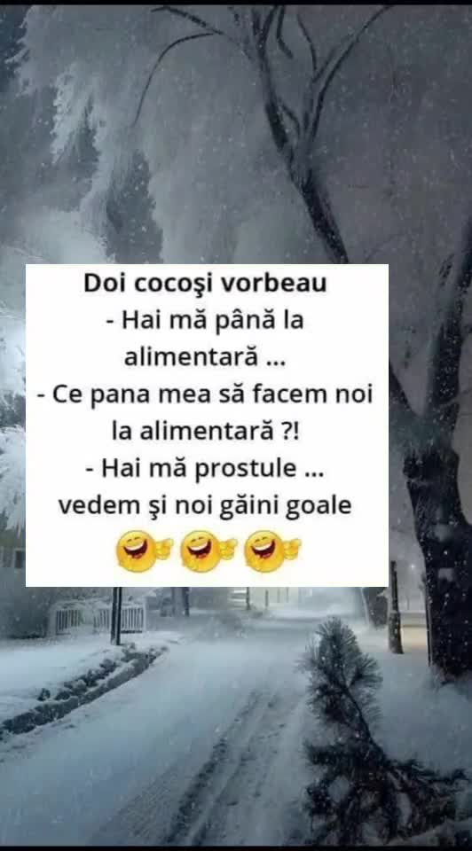 🇷🇴🤪🇷🇴#🇷🇴🤣🤣