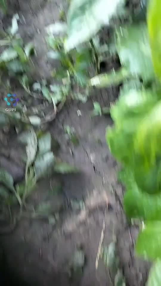 Video de @gupiuser47084