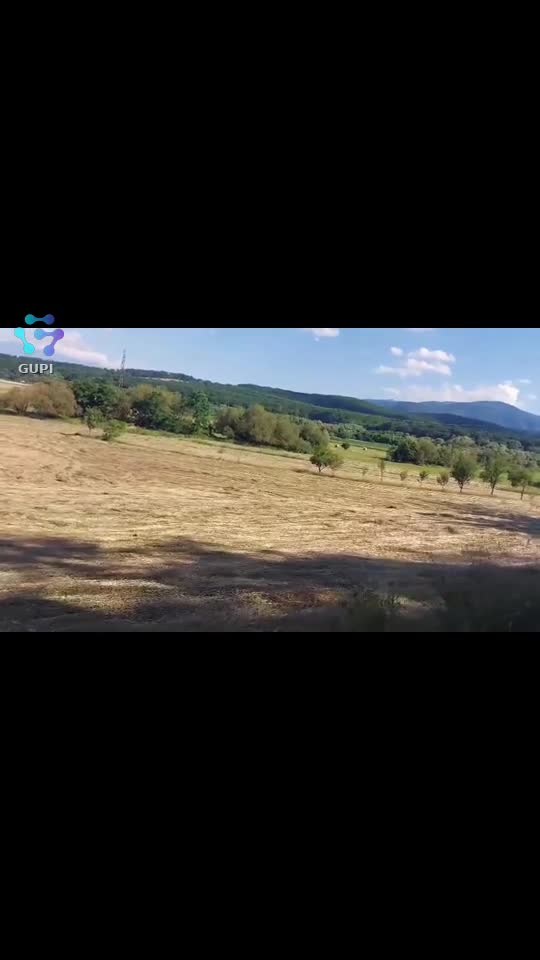 Video de @FLRica06