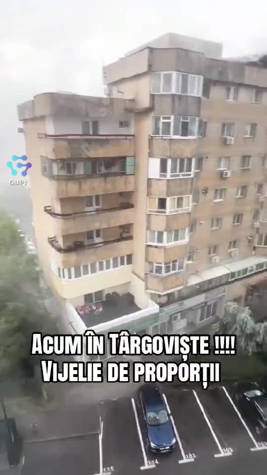 Vijelie tatăă