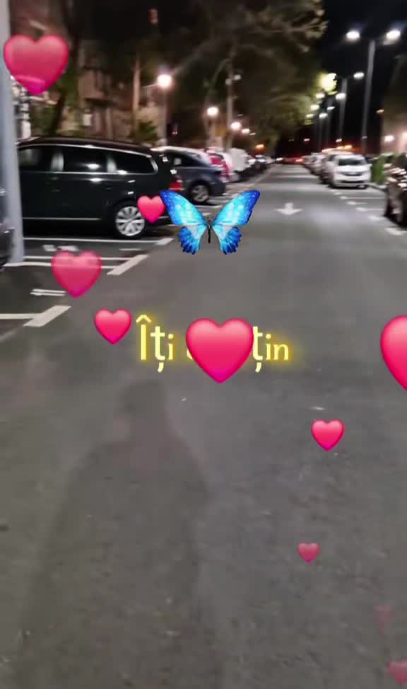 #🦋💙  
🦁♾️♐️