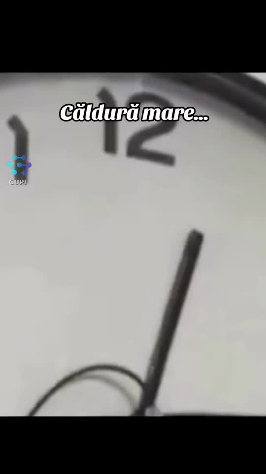 căldură mare...😂