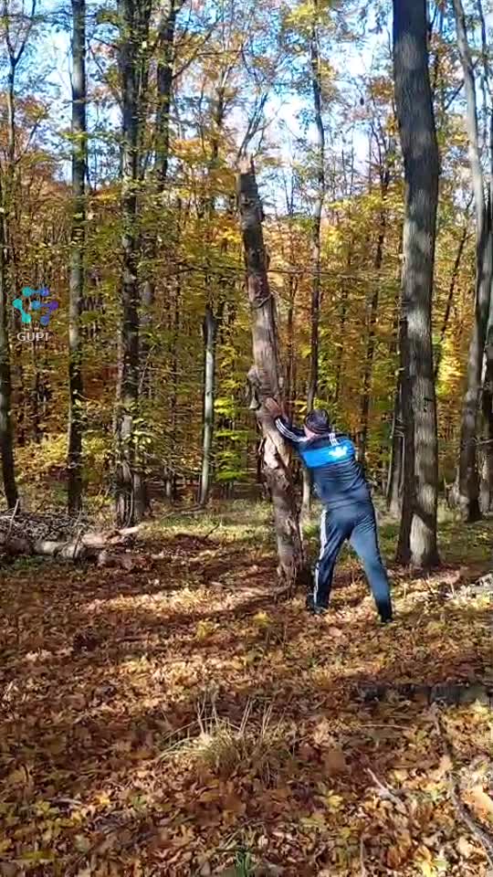 Video de @gupiuser313675