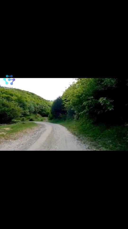 Video de @FLRica06