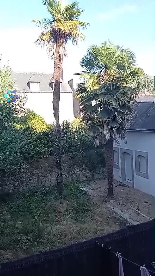 Video de @gupiuser371500