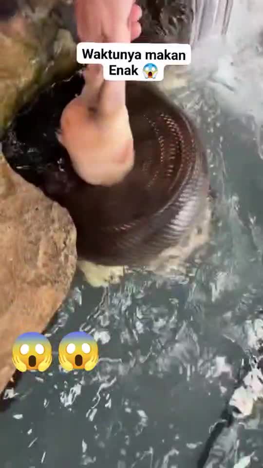 🤯