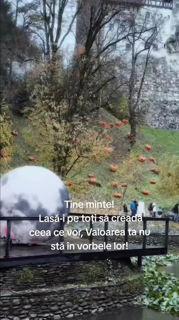 Video de @gupiuser1083892
