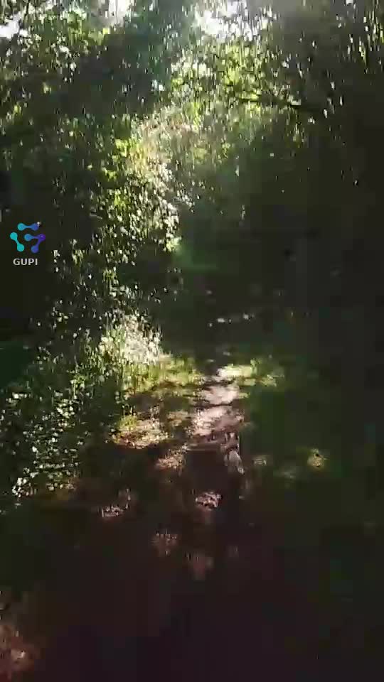 Video de @gupiuser155431