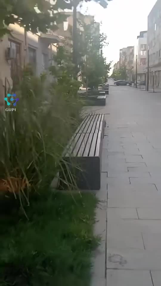 💋💋💋💃💃💃💋💋💋