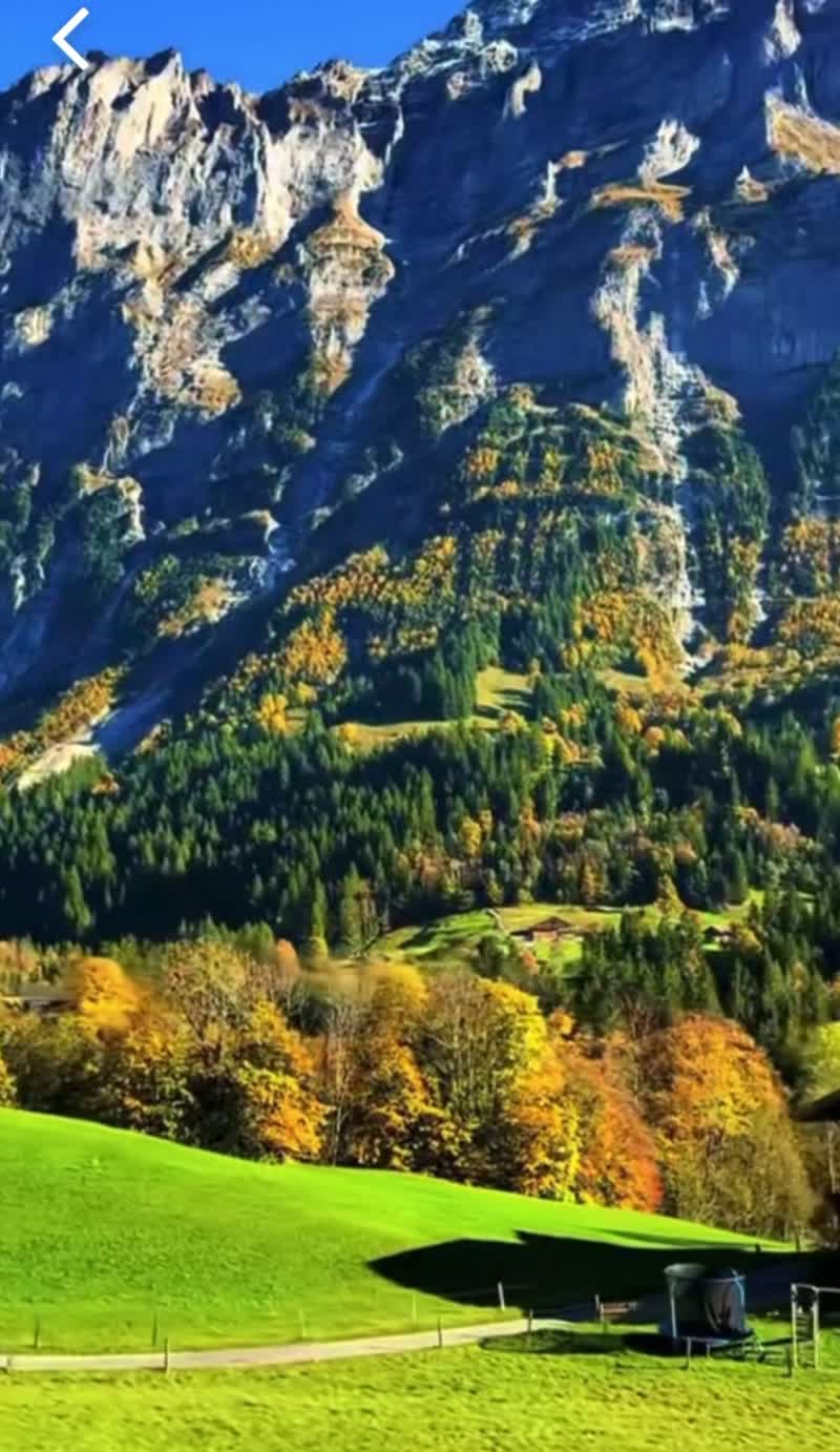 Video de @🇨🇭Vasile1805🇧🇪