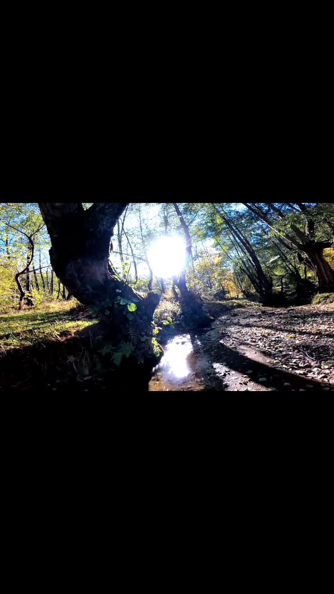 Video de @FLRica06