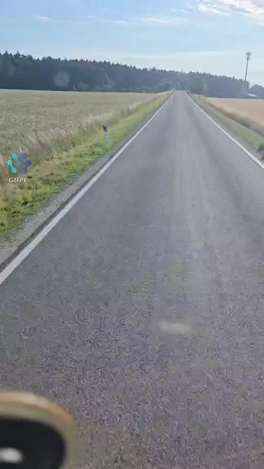 Video de @gupiuser164264