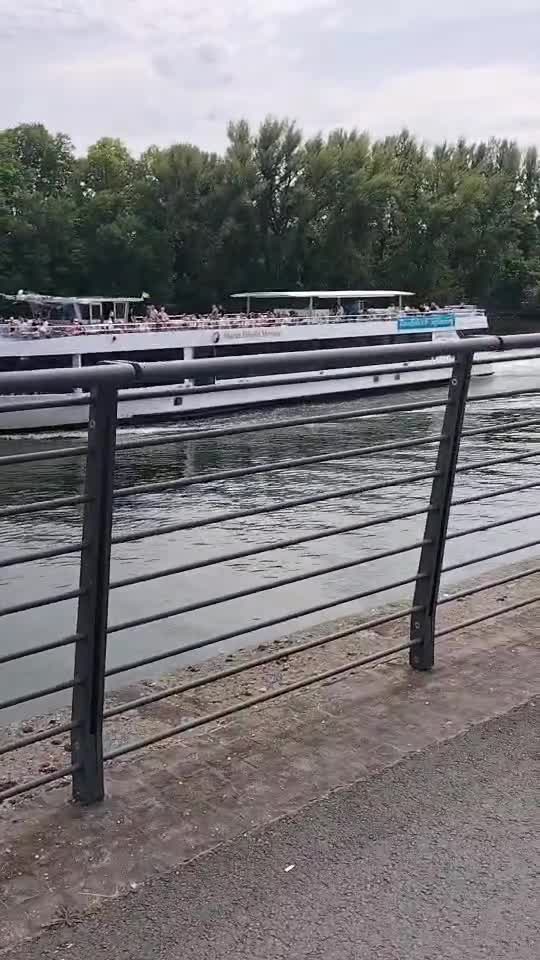 o glumă 🤣🤣🤣