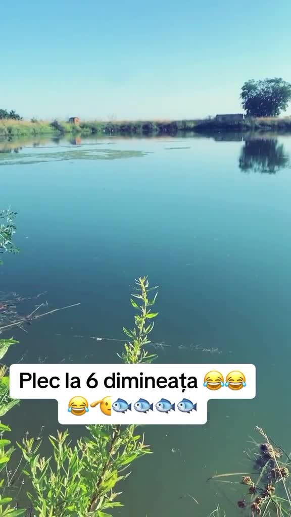 pescuit diminata de vara ❤️❤️