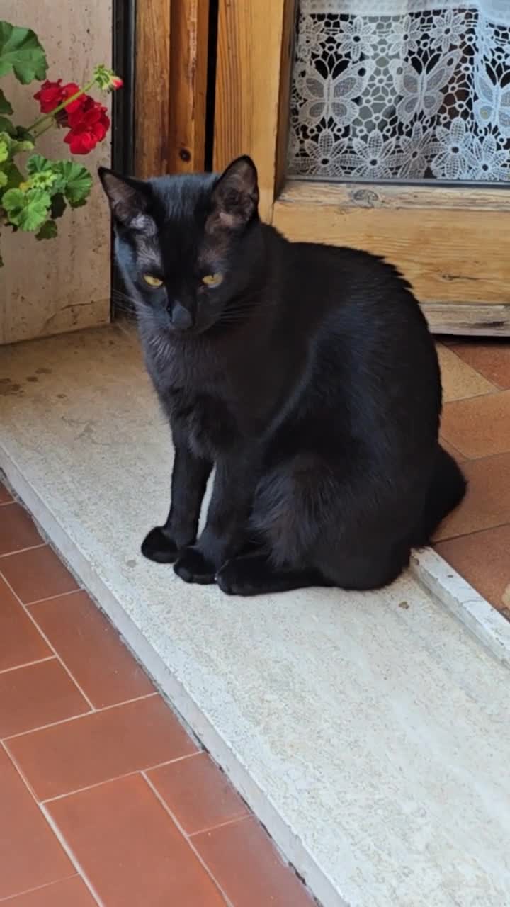 Mita❤️