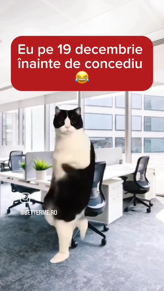 🤣🤣🤣