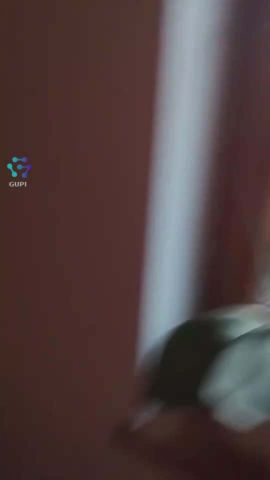 Video de @gupiuser155431