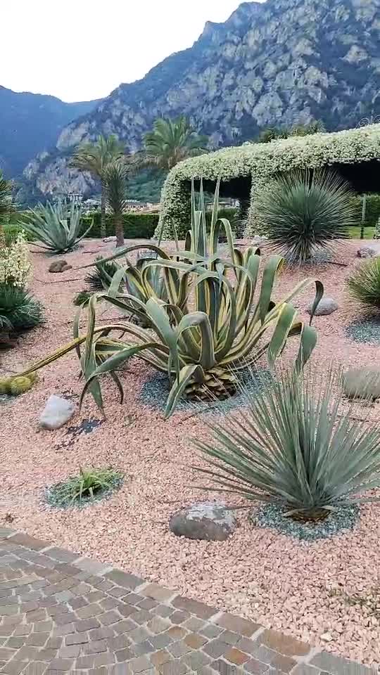 Grădina Botanică din Limone Del Garda🍋   ădina  ă       ții