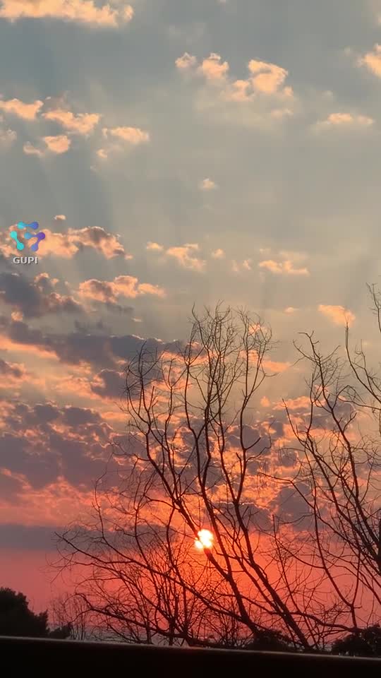 Video de @gupiuser127180