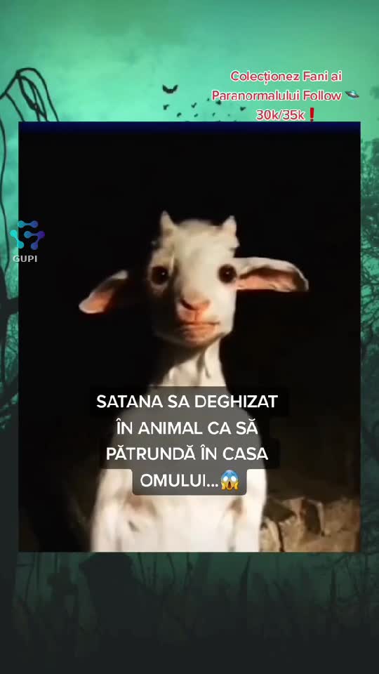 Video de @gupiuser147071