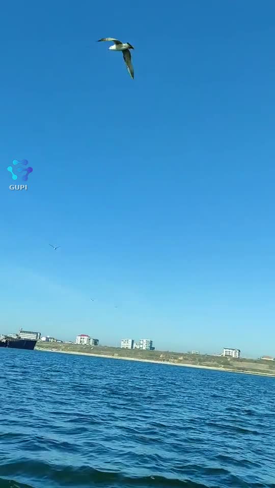 #blacksea