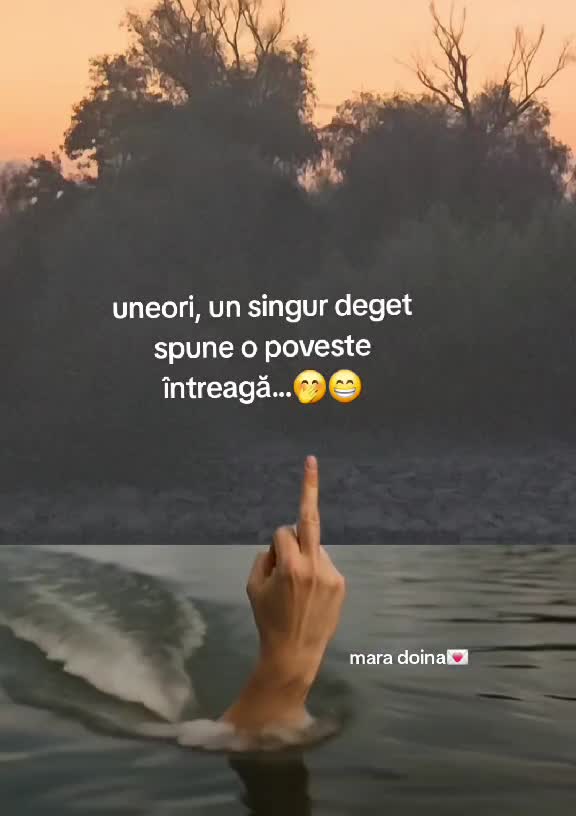 uneori, un singur deget spune o poveste întreagā...🤭😁
