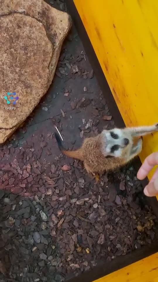 La Bebe