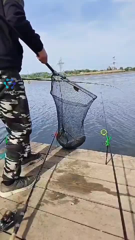 Jump For Joy